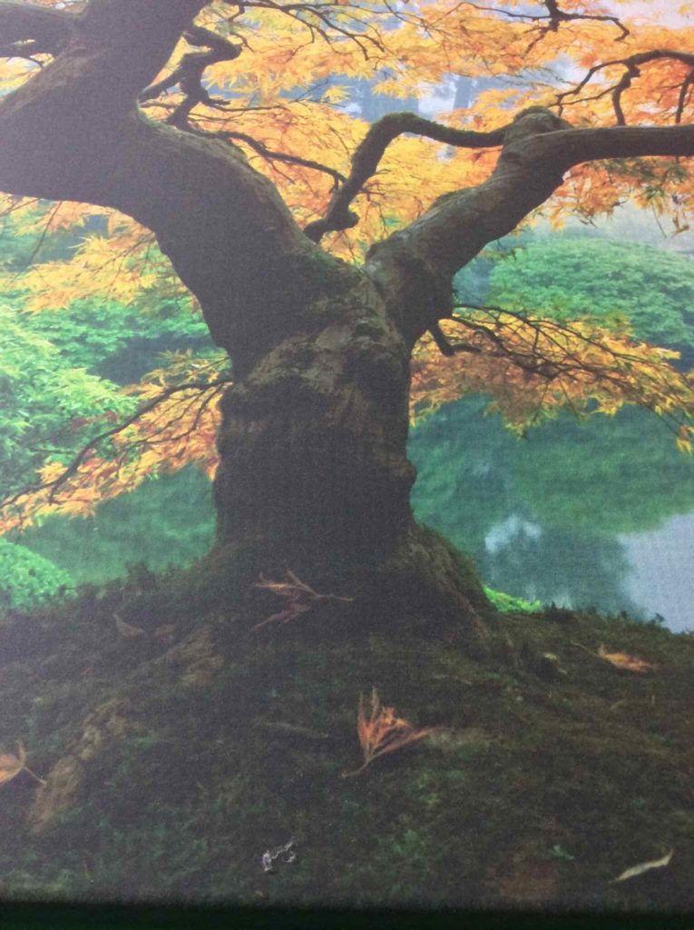 Startonight Wall Art Canvas Maple Tree