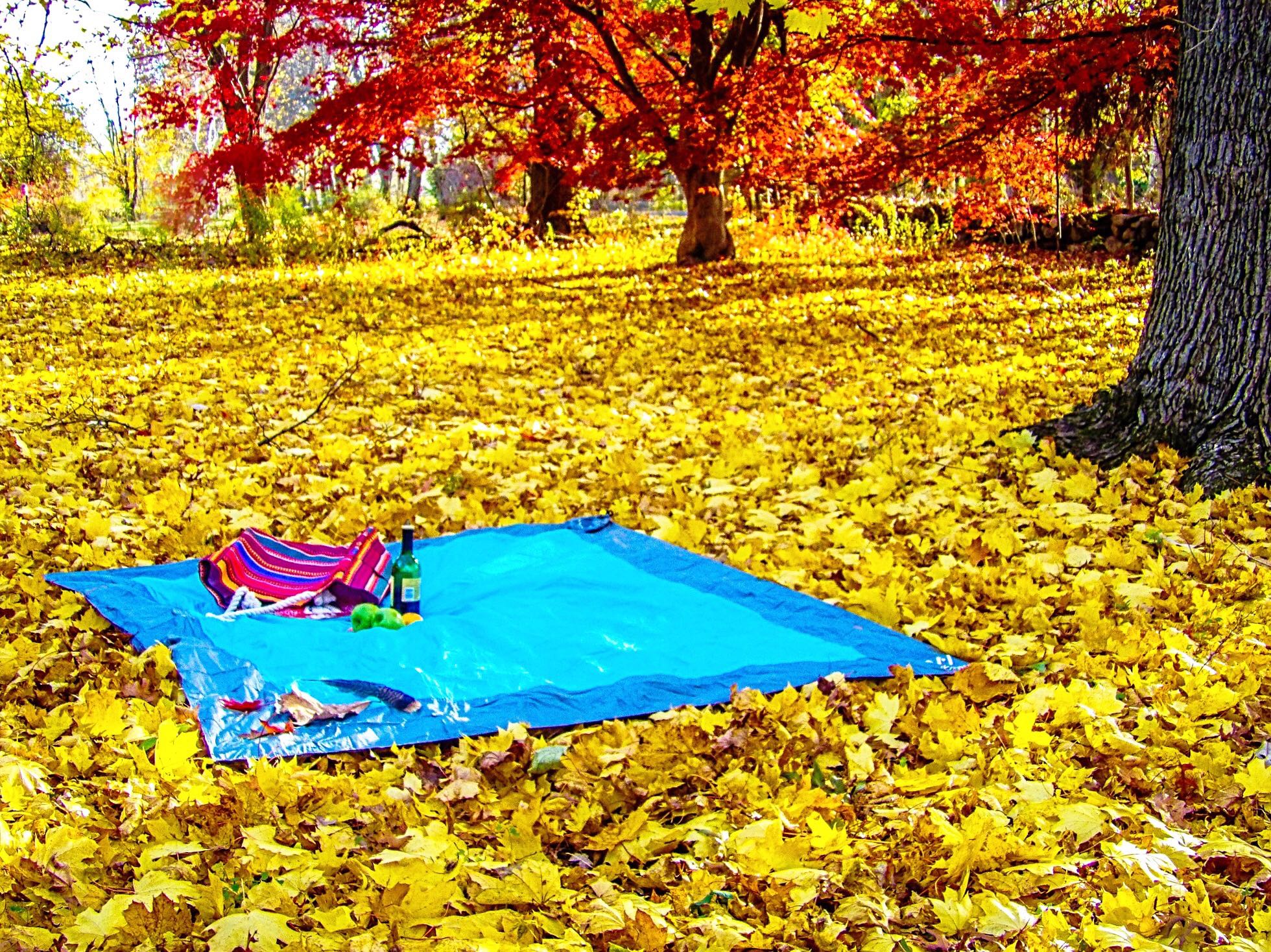 Weimy Sand Repellant Lightweight Compact Beach Blanket