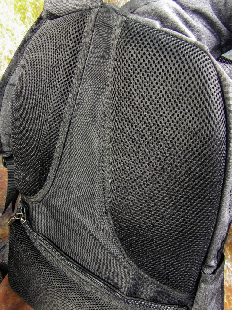 Fully padded back support