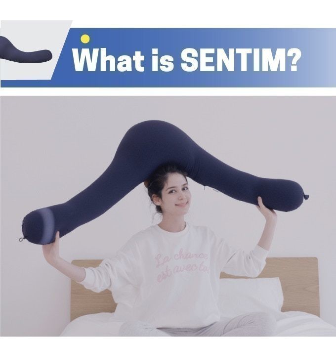 What is SENTIM?