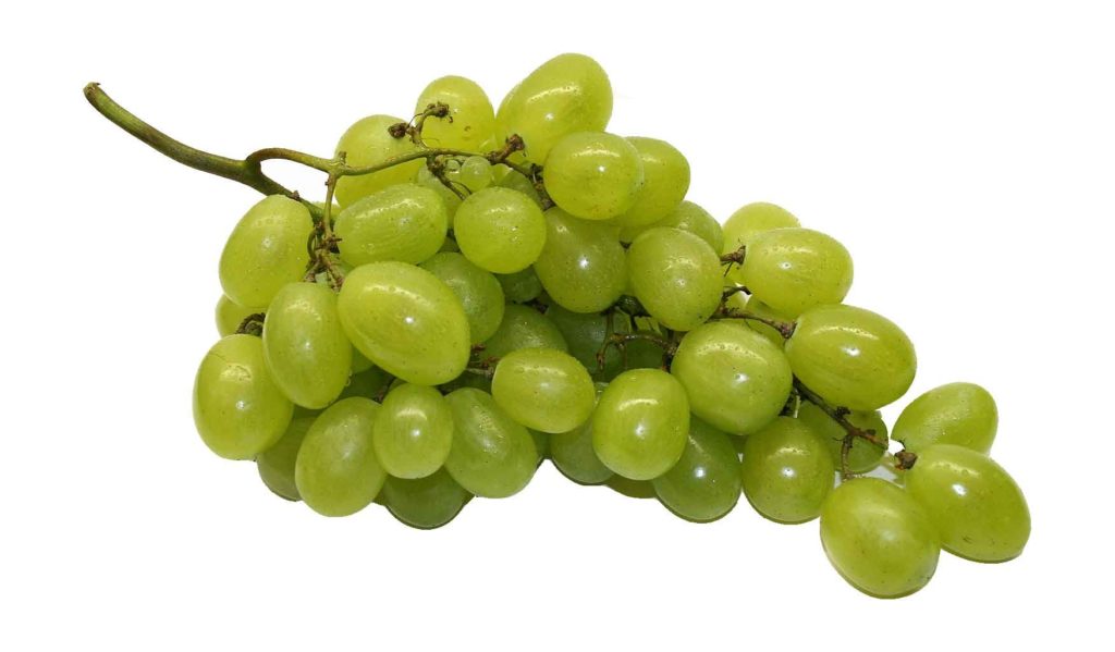 Grapeseed Oil Extract from the StyleChicks Hair & Skin Glossary of Ingredients & Terms