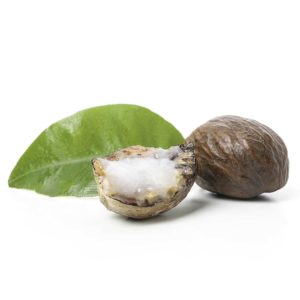 Shea butter definition at StyleChicks.com Defining Beauty Glossary