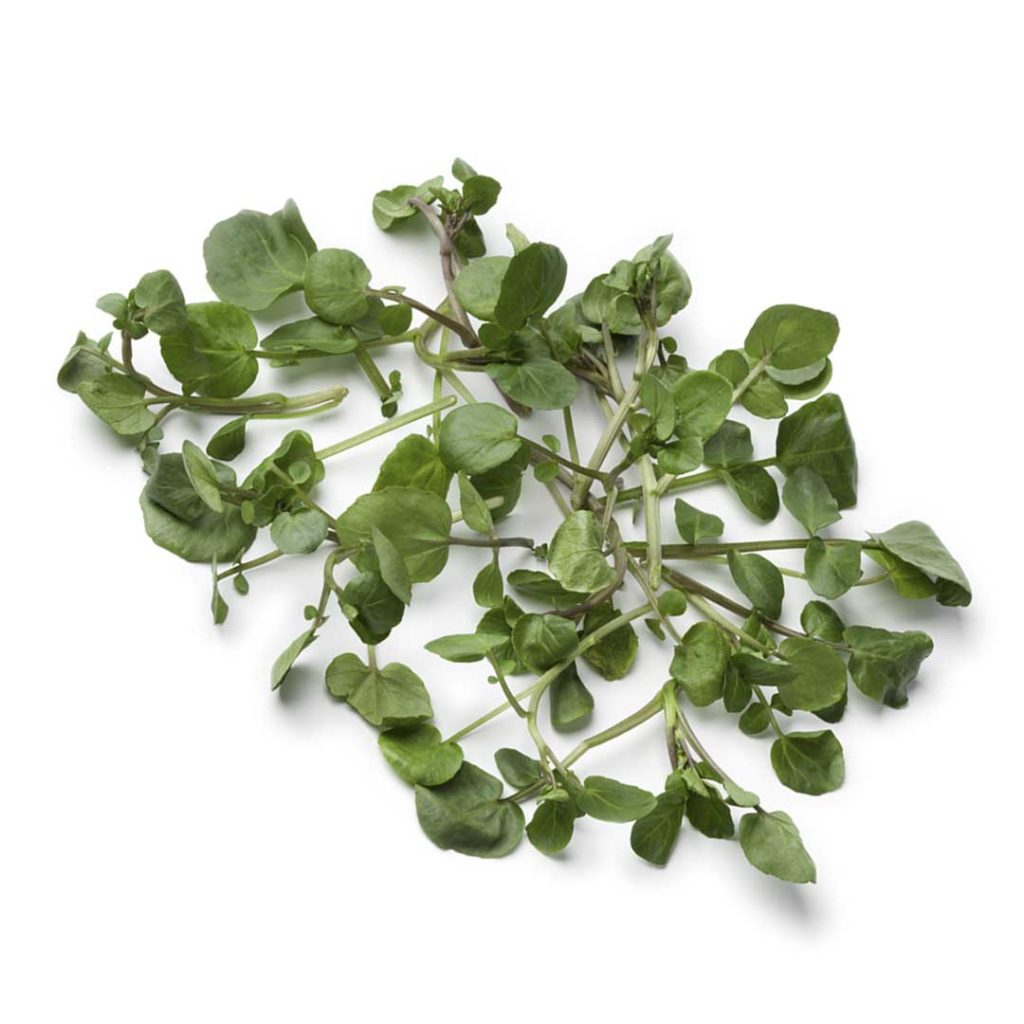 Watercress boosts collagen and elastin