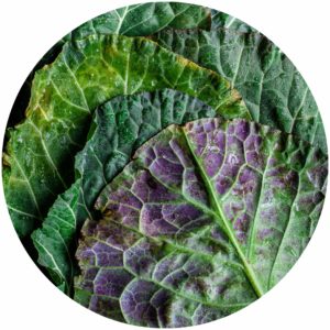 Kale for skin