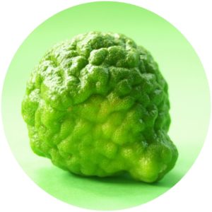 Bergamot