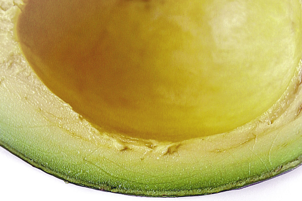Defining Beauty Glossary of Ingredients. Avocado Oil Ingredient featured on StyleChicks.com