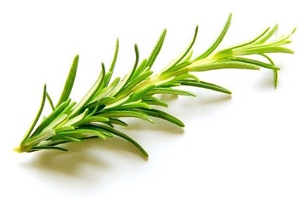 Sonage Frioz Trio contains Rosemary