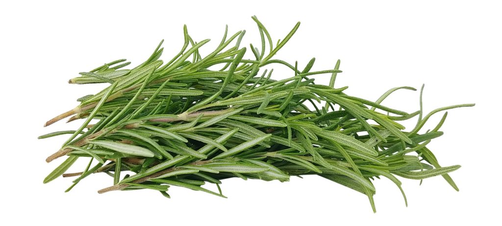 Rosemary for hair growth
