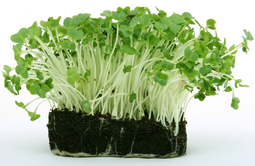 Watercress is a secret anti-aging weapon.