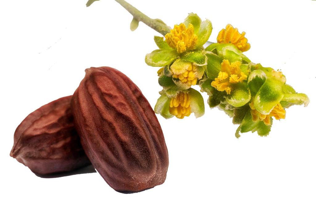 Jojoba Seed Oil