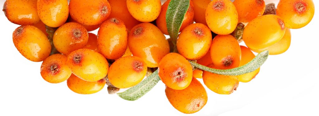 Sea Buckthorn berries contain hair nourishing nutrients