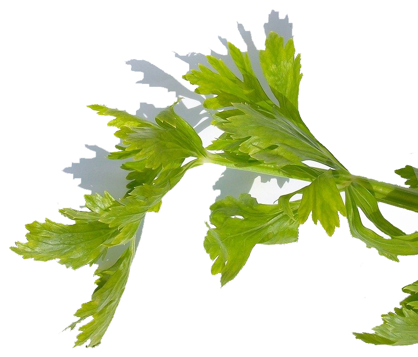 Celery contains Vitamins A, C, and K