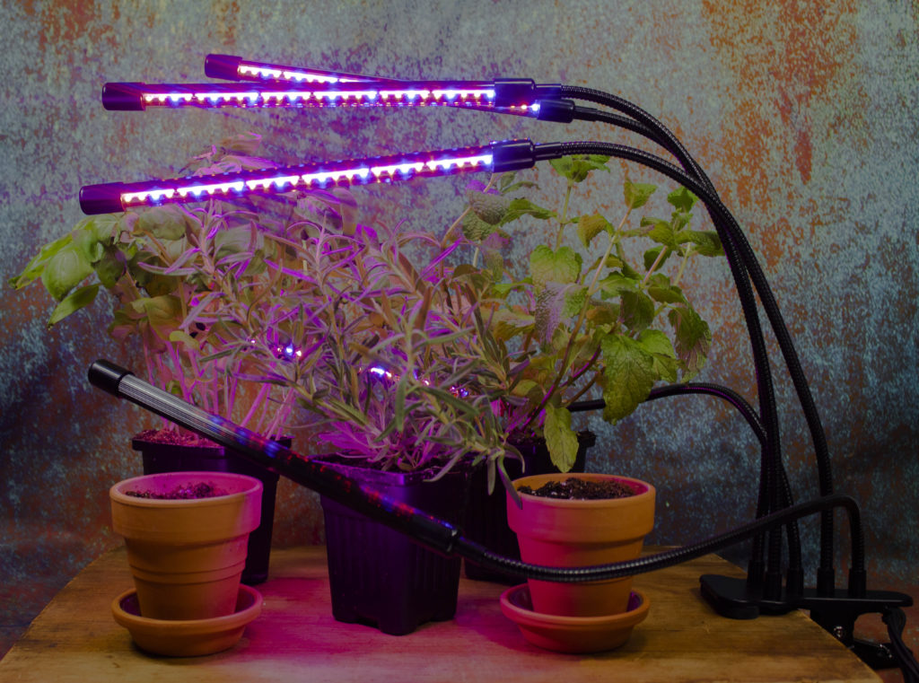 WEDCOL Red Blue Spectrum Plant Grow Light works on plants and seedlings