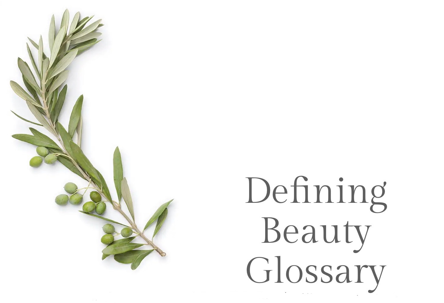 Defining Beauty: Glossary of Ingredients You Will