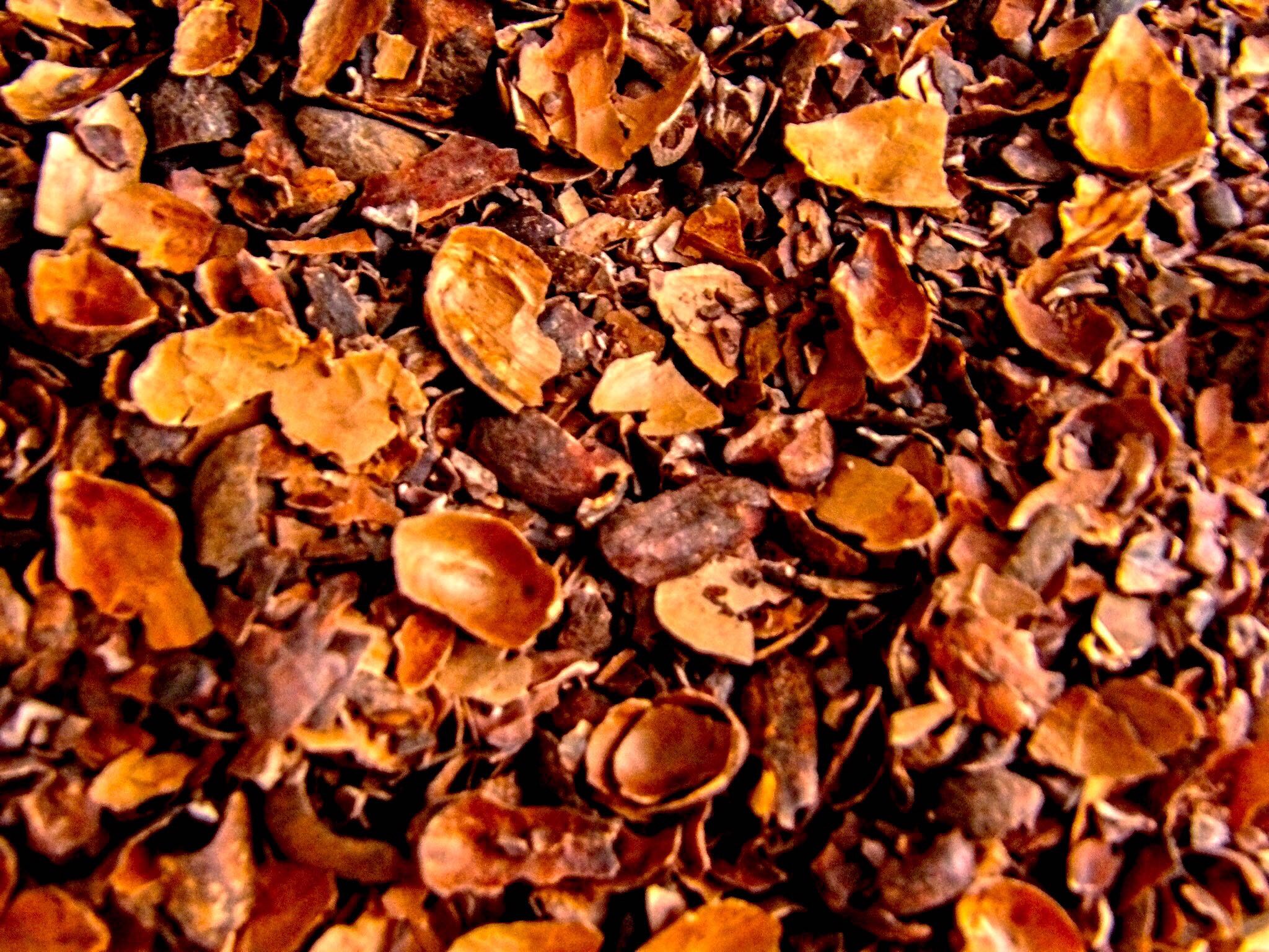 MiCacao Loose Cacao Tea