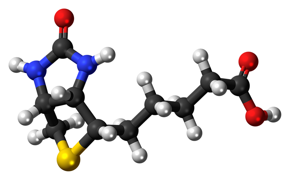 The chemical structure of Biotin (b7)