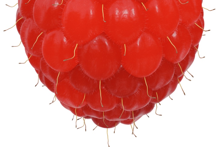 Raspberry Oil is rich in Ellagic acid, a wrinkle-reducing polyphenol compound