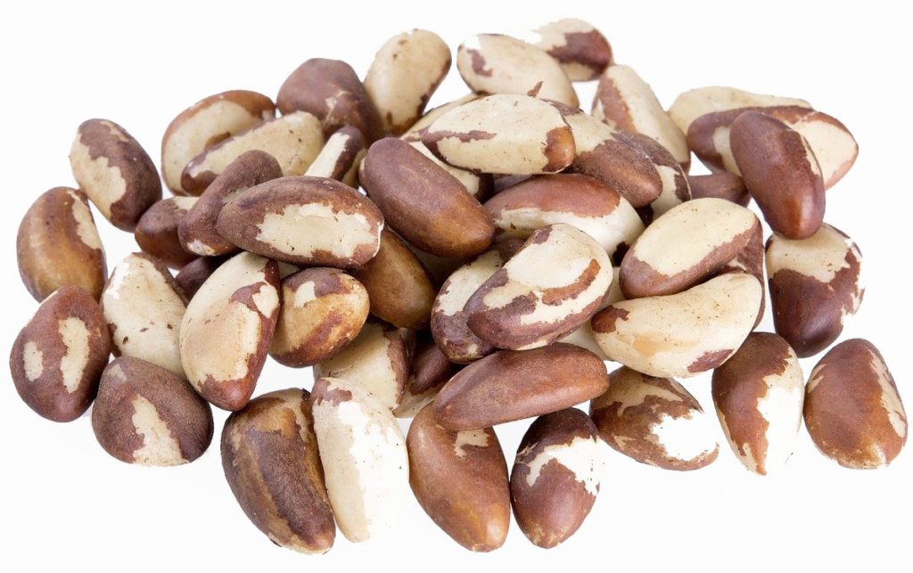 Brazil nut restores elasticity to skin