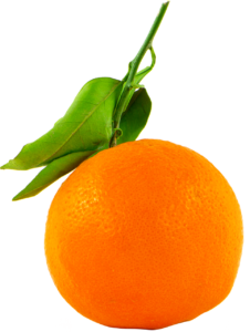 Sweet Orange is high in Hesperidin