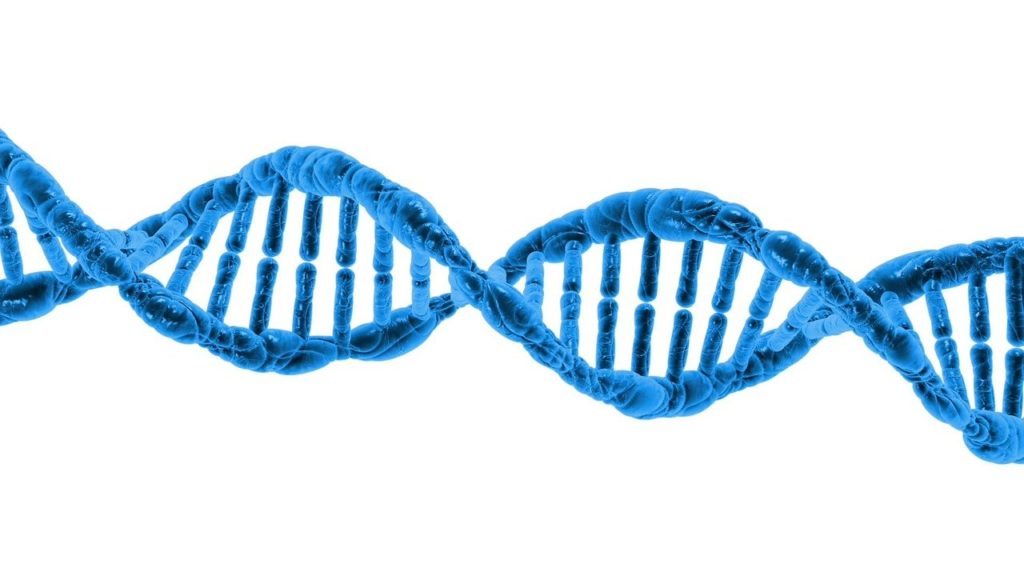 Improved DNA repair enabled better health while looking and feeling better