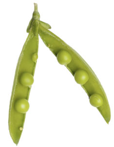 Pea Peptides come from garden peas