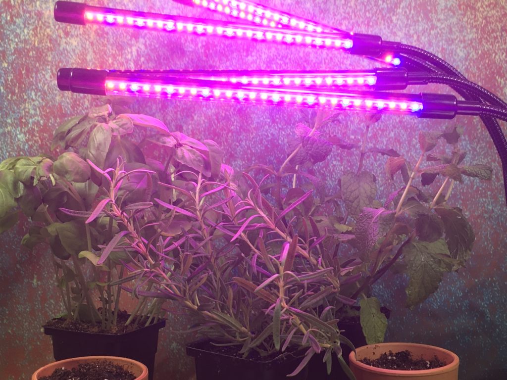 WEDCOL Red Blue Spectrum Plant Grow Light