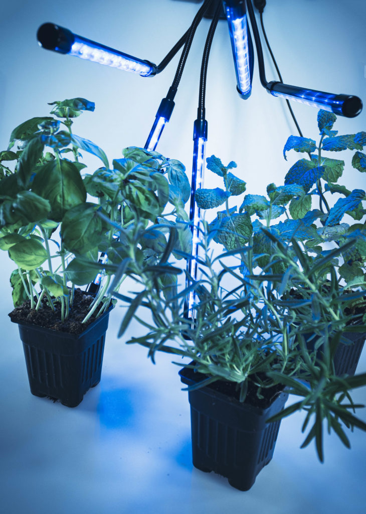 Help promote plant growth overnight with blue light